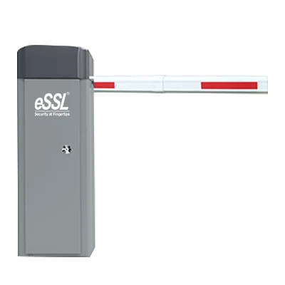 eSSL BG-100(6M) GREY