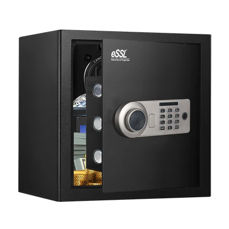 eSSL eSAFE-L-36