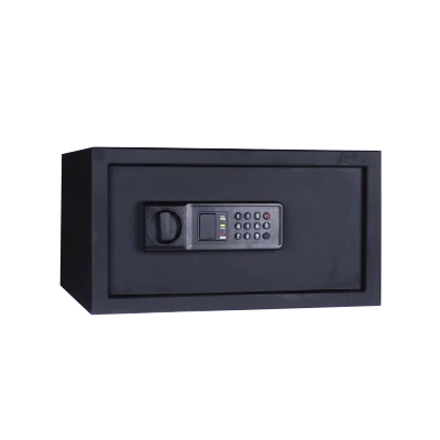 eSSL SAFE-101